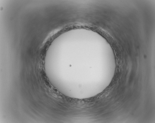 X0000059041207200511041628