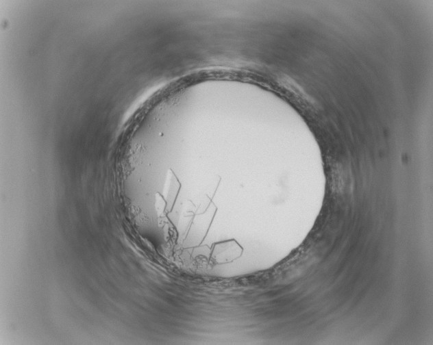 X0000059041208200511041628