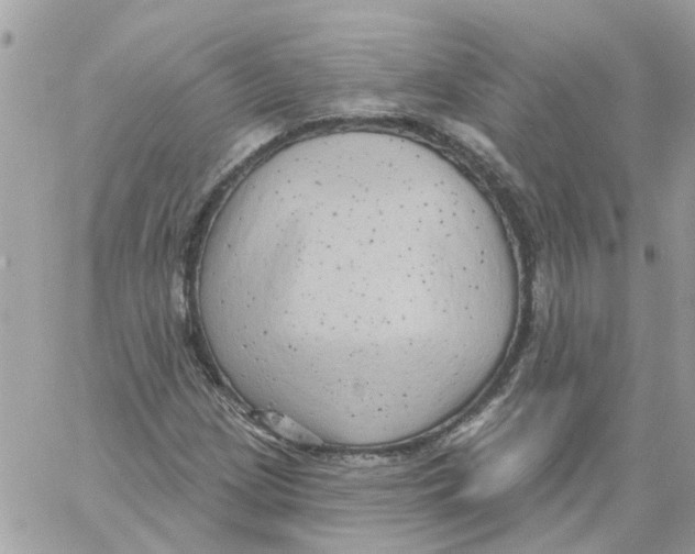 X0000059041209200511041628