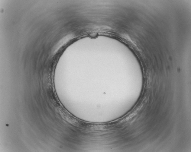 X0000059041211200511041628