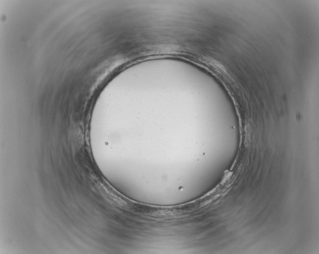 X0000059041212200511041628