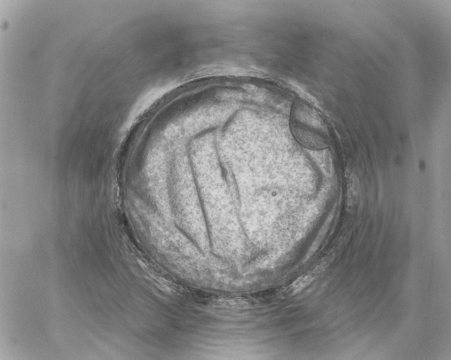 X0000059041215200511041628