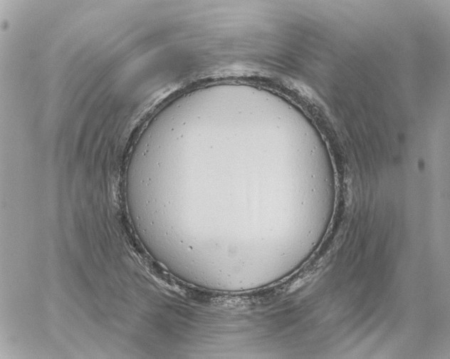 X0000059041217200511041628