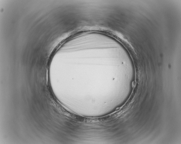 X0000059041221200511041628