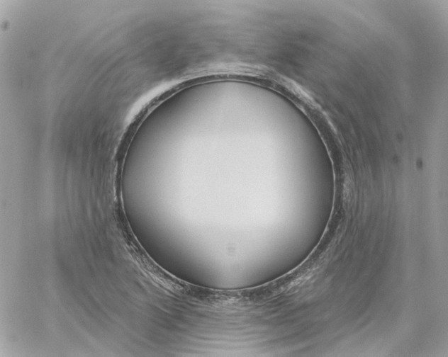 X0000059041222200511041628