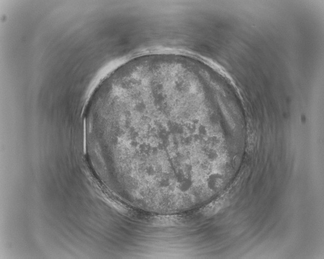 X0000059041223200511041628