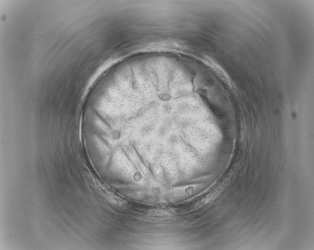 X0000059041224200511041628