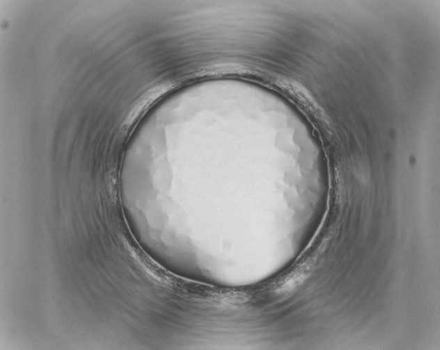 X0000059041225200511041628