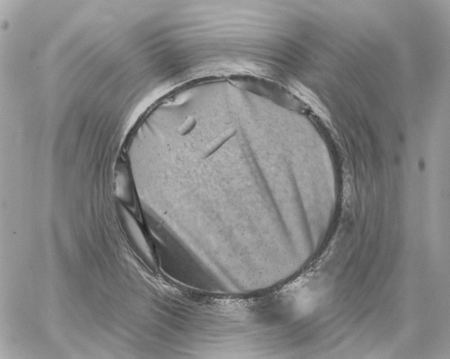 X0000059041226200511041628