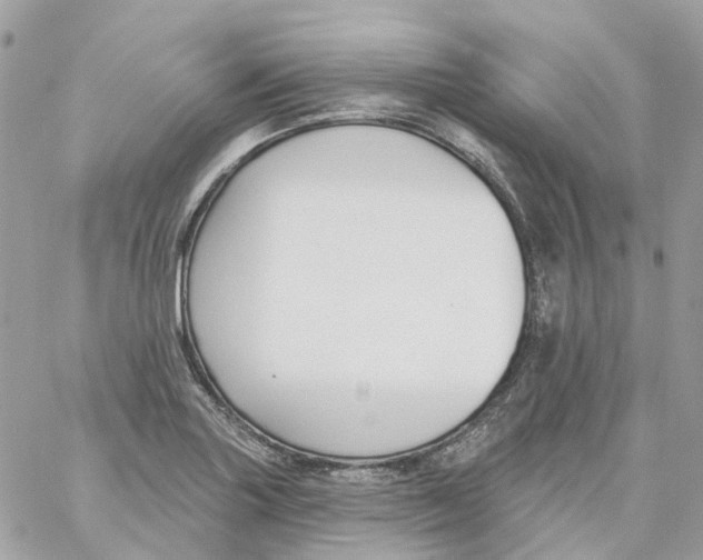 X0000059041227200511041628