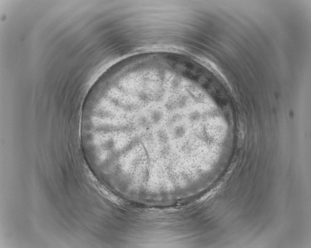 X0000059041228200511041628