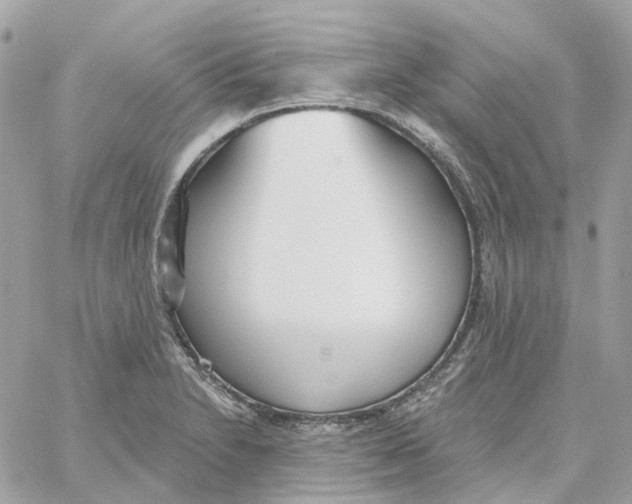 X0000059041230200511041628