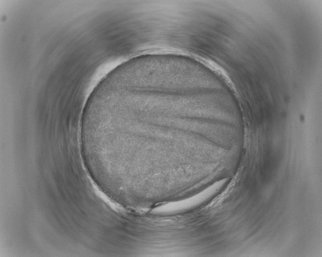 X0000059041231200511041628