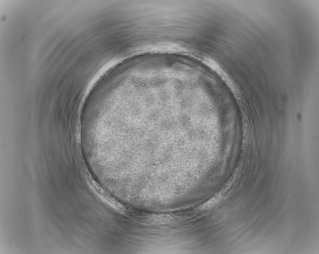 X0000059041232200511041628