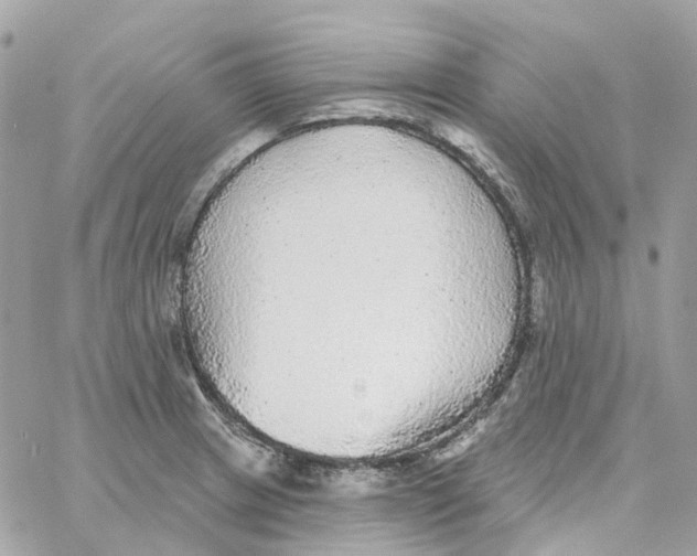 X0000059041233200511041628