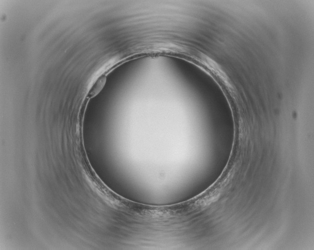 X0000059041234200511041628