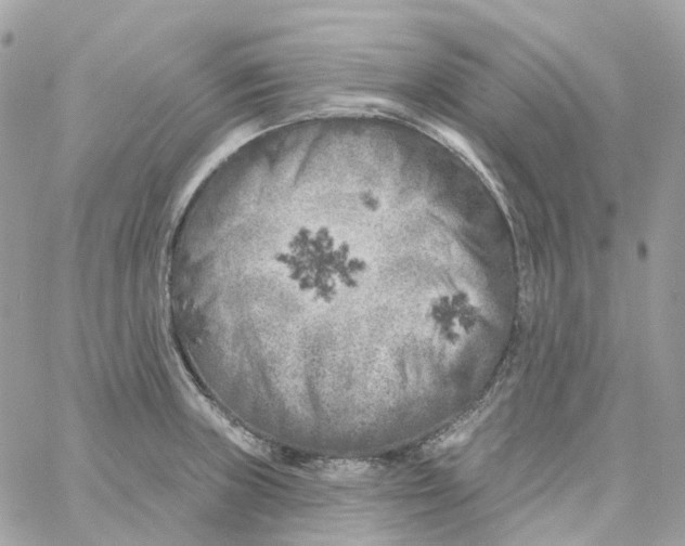 X0000059041235200511041628