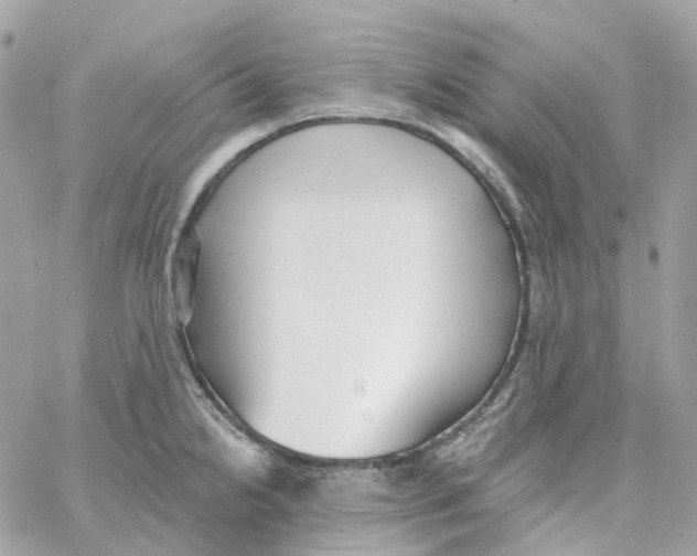 X0000059041238200511041628