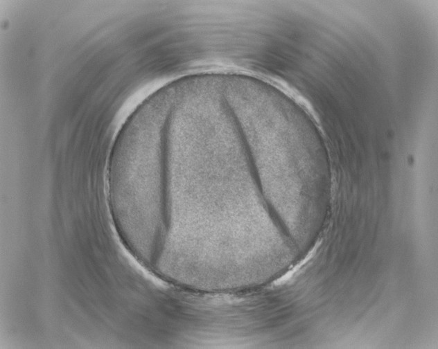 X0000059041239200511041628