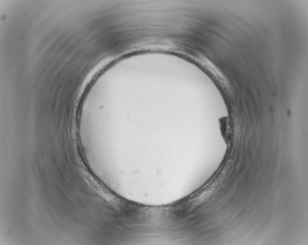 X0000059041240200511041628