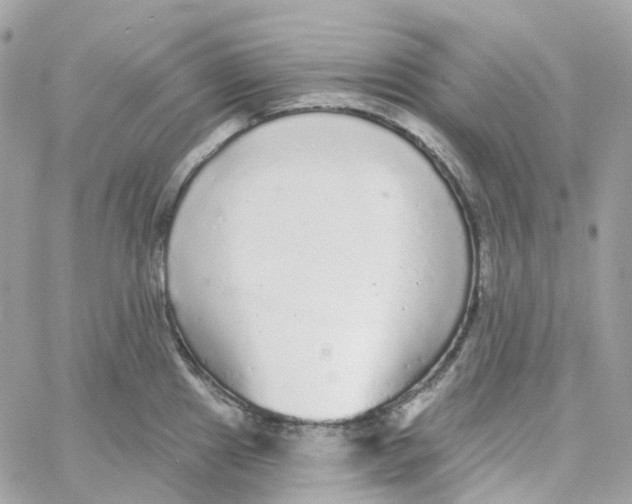 X0000059041241200511041628