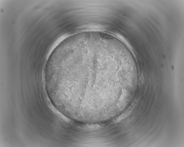 X0000059041243200511041628