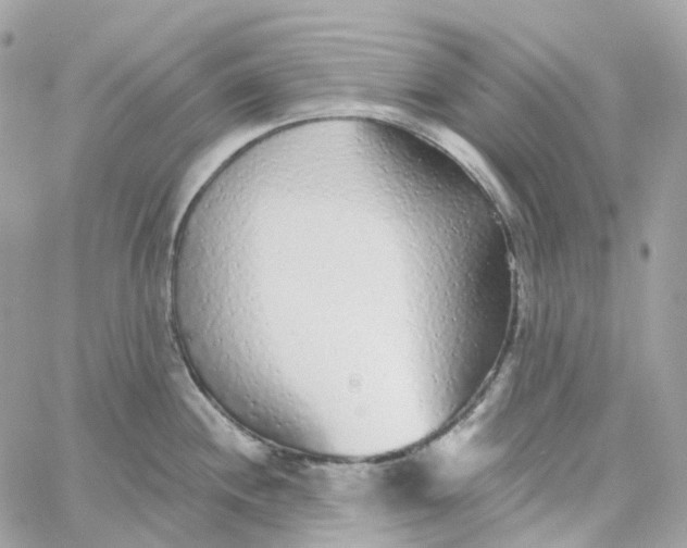 X0000059041244200511041628