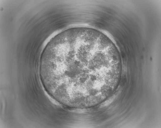 X0000059041245200511041628