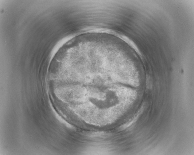 X0000059041247200511041628