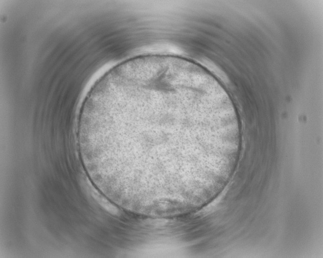 X0000059041248200511041628