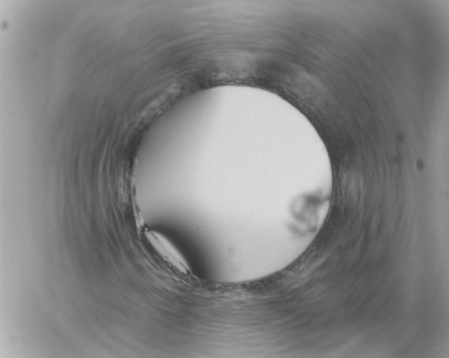 X0000059041250200511041627