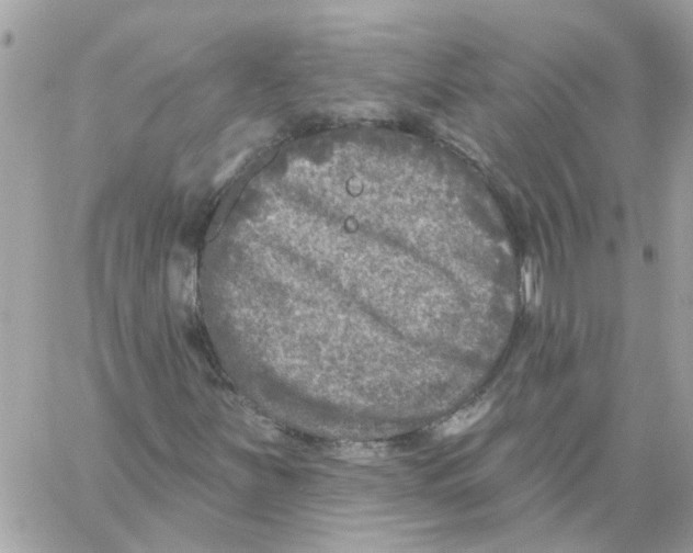 X0000059041251200511041627