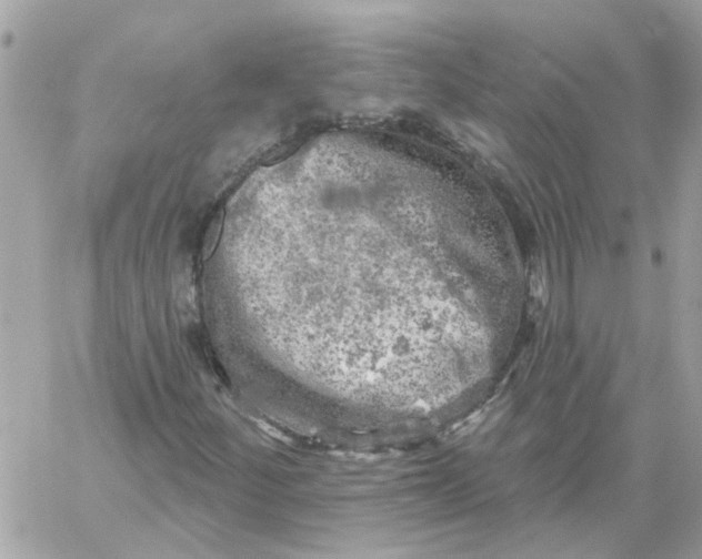 X0000059041252200511041627