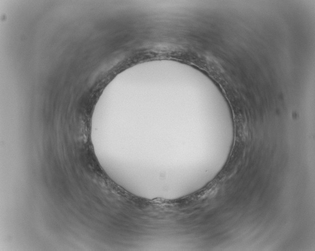 X0000059041253200511041627