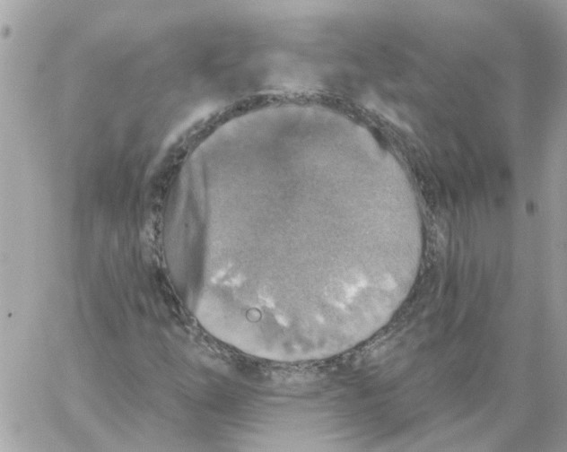 X0000059041254200511041627