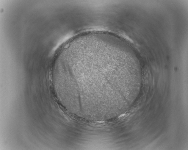 X0000059041255200511041627