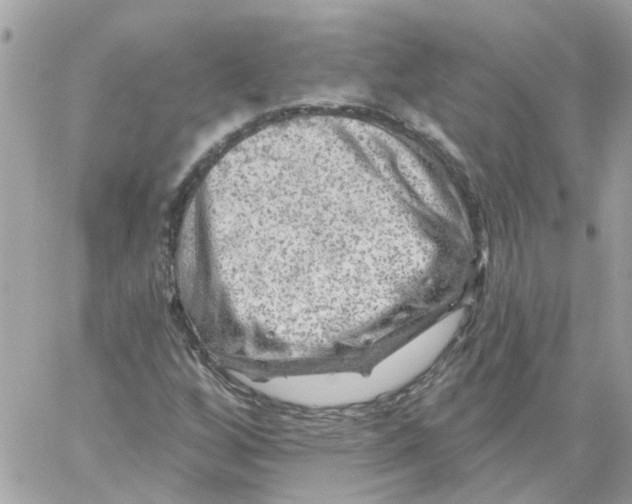 X0000059041256200511041627