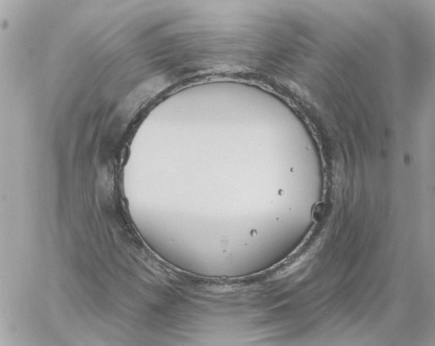 X0000059041257200511041627