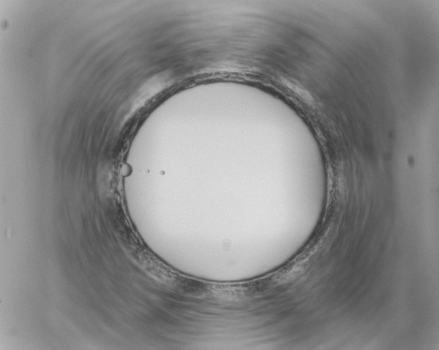 X0000059041258200511041627