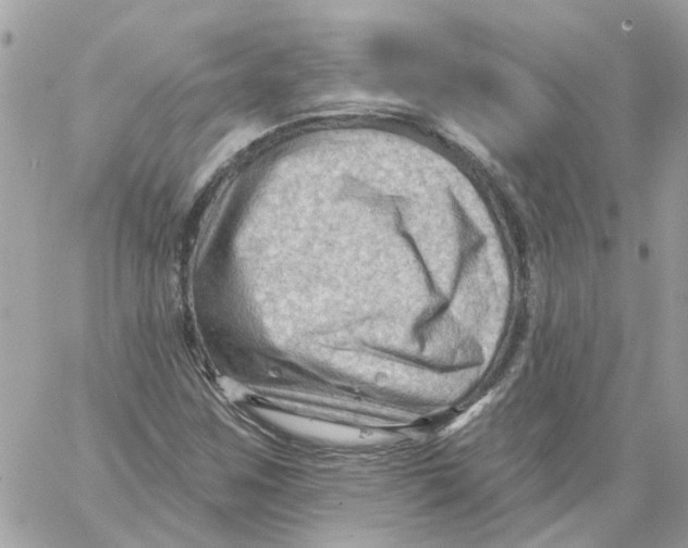 X0000059041259200511041627