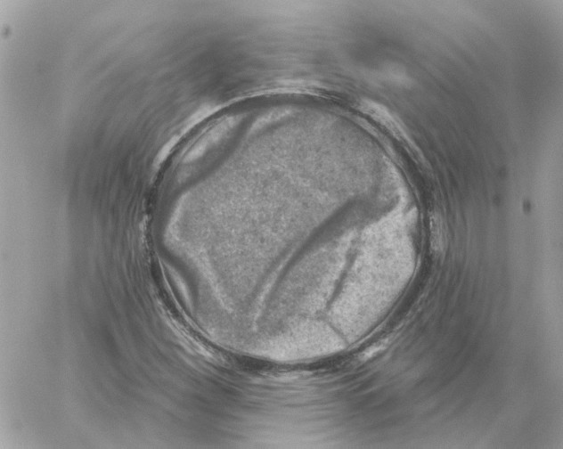 X0000059041260200511041627