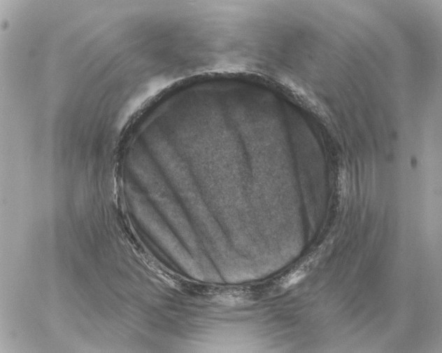 X0000059041262200511041627