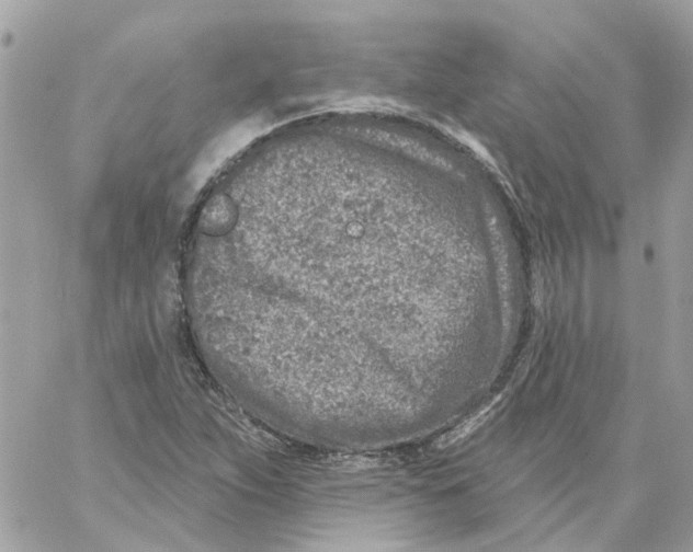 X0000059041263200511041627