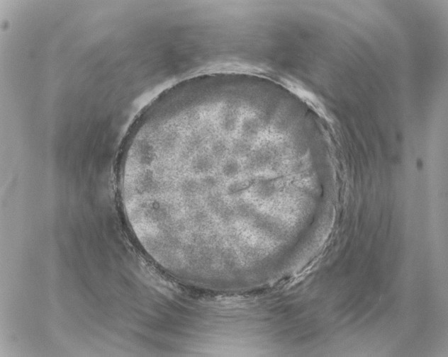 X0000059041264200511041627