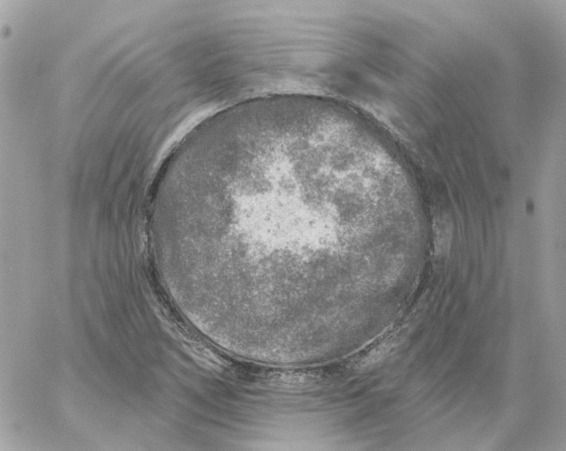 X0000059041266200511041627