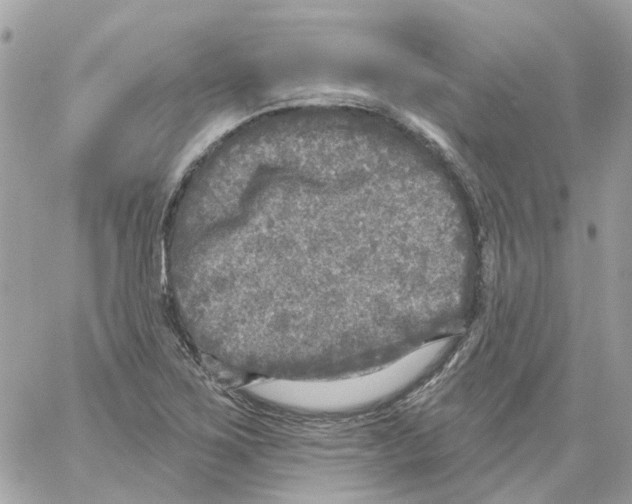 X0000059041267200511041627