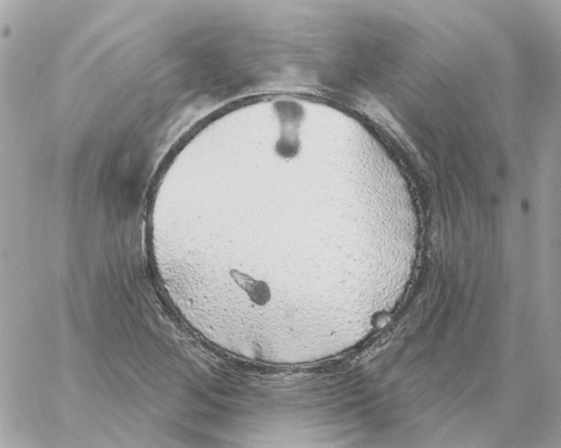 X0000059041268200511041627