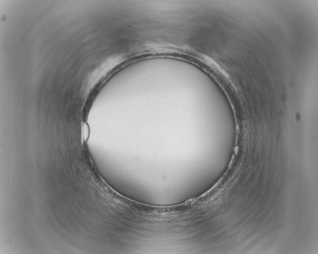 X0000059041269200511041627