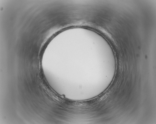 X0000059041270200511041627