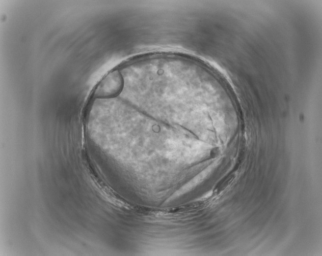 X0000059041271200511041627